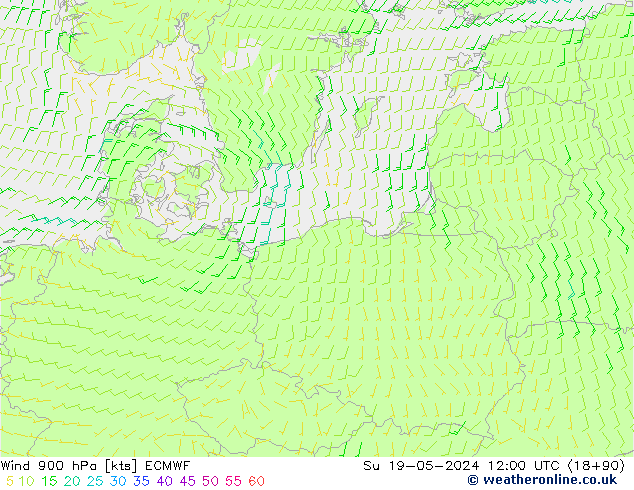 Wind 900 hPa ECMWF Su 19.05.2024 12 UTC