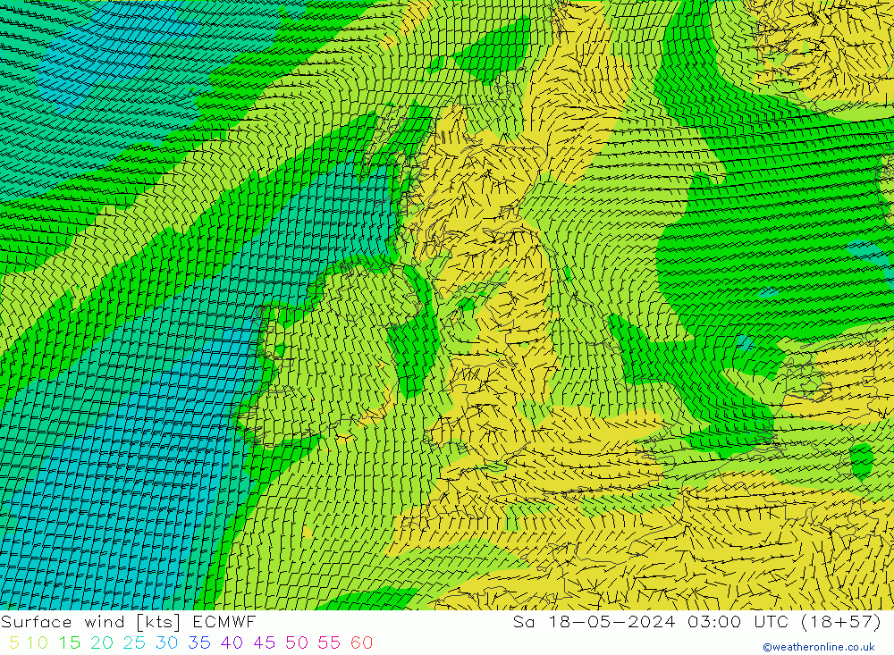 Surface wind ECMWF Sa 18.05.2024 03 UTC