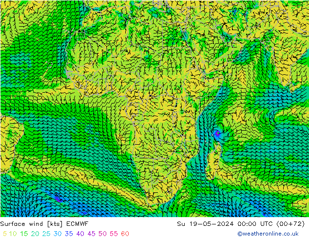 Surface wind ECMWF Su 19.05.2024 00 UTC