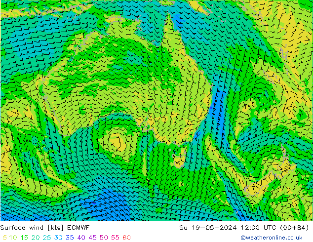 Surface wind ECMWF Su 19.05.2024 12 UTC