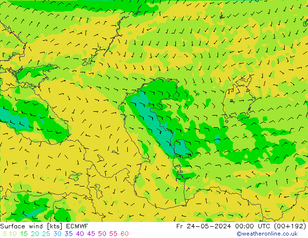  10 m ECMWF  24.05.2024 00 UTC