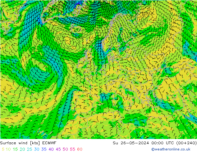 Bodenwind ECMWF So 26.05.2024 00 UTC