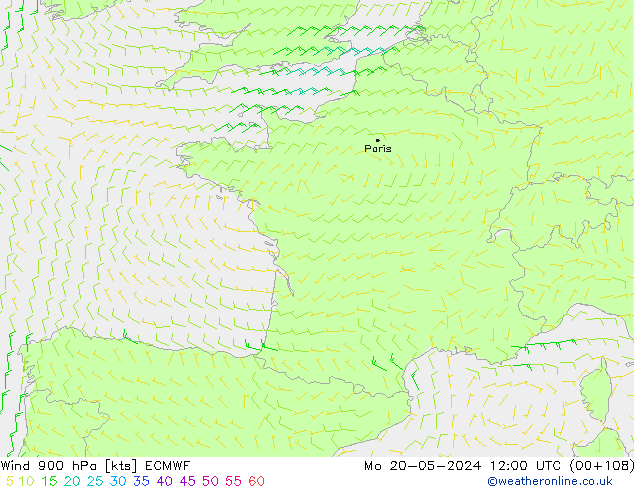 Rüzgar 900 hPa ECMWF Pzt 20.05.2024 12 UTC