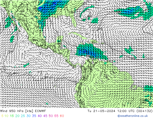 ветер 950 гПа ECMWF вт 21.05.2024 12 UTC