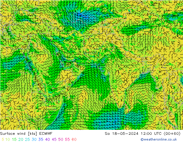 ветер 10 m ECMWF сб 18.05.2024 12 UTC