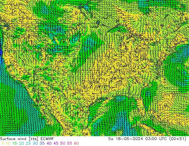 Vento 10 m ECMWF Sáb 18.05.2024 03 UTC