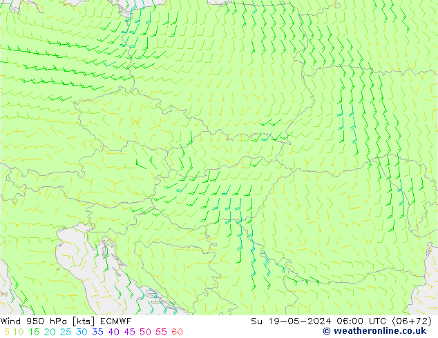 Wind 950 hPa ECMWF So 19.05.2024 06 UTC