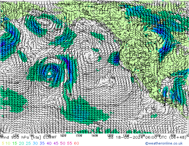 Rüzgar 950 hPa ECMWF Cts 18.05.2024 06 UTC