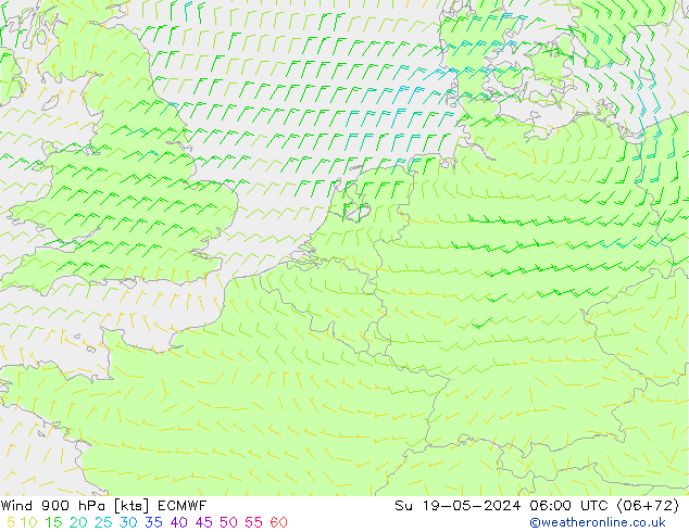 Wind 900 hPa ECMWF So 19.05.2024 06 UTC