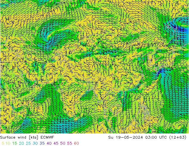 Surface wind ECMWF Ne 19.05.2024 03 UTC