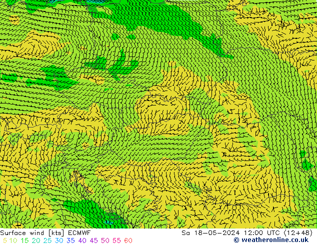 Wind 10 m ECMWF za 18.05.2024 12 UTC