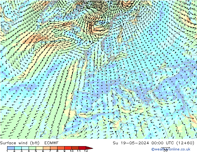 Surface wind (bft) ECMWF Su 19.05.2024 00 UTC