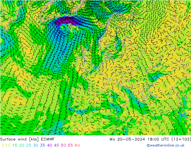 Surface wind ECMWF Mo 20.05.2024 18 UTC