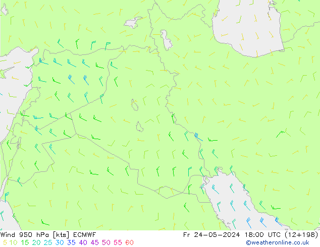 Wind 950 hPa ECMWF Fr 24.05.2024 18 UTC