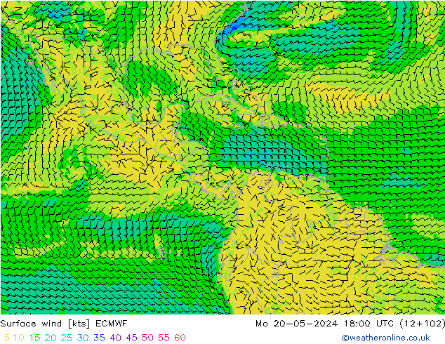 Wind 10 m ECMWF ma 20.05.2024 18 UTC