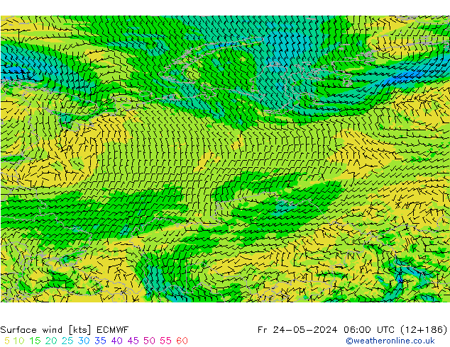 Wind 10 m ECMWF vr 24.05.2024 06 UTC