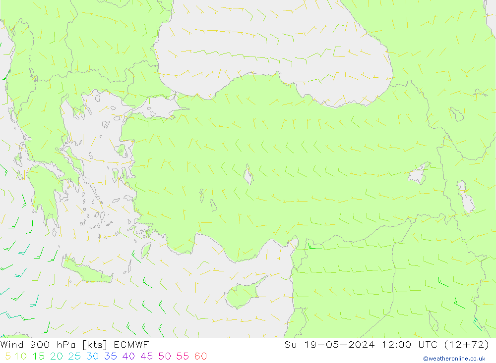 Wind 900 hPa ECMWF zo 19.05.2024 12 UTC