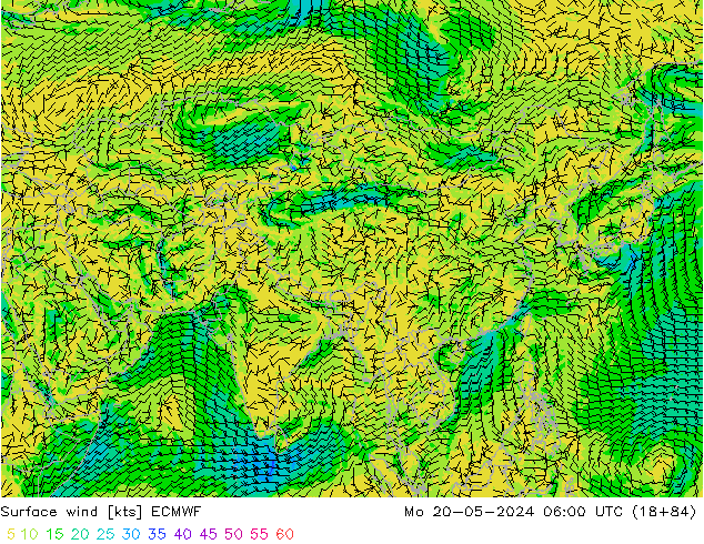 Wind 10 m ECMWF ma 20.05.2024 06 UTC