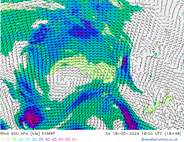 Wind 900 hPa ECMWF Sa 18.05.2024 18 UTC
