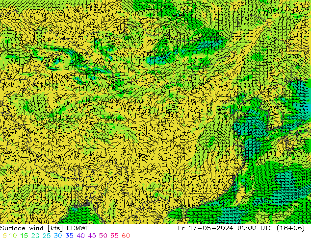 Bodenwind ECMWF Fr 17.05.2024 00 UTC