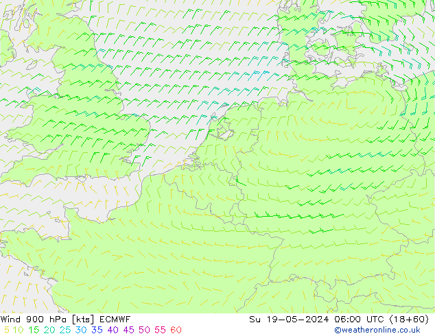 Wind 900 hPa ECMWF So 19.05.2024 06 UTC