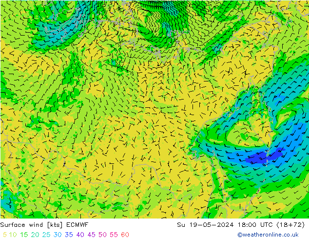 Prec 6h/Wind 10m/950 ECMWF So 19.05.2024 18 UTC