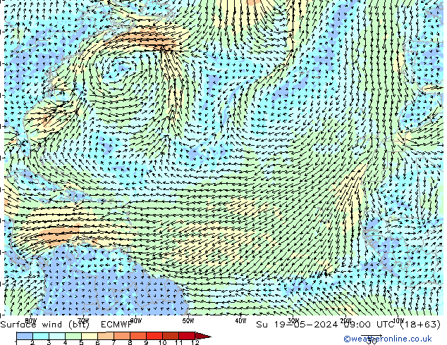 Surface wind (bft) ECMWF Su 19.05.2024 09 UTC