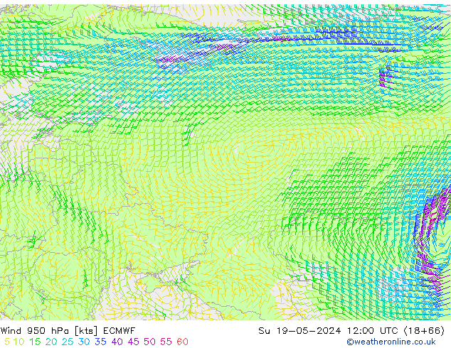 Wind 950 hPa ECMWF zo 19.05.2024 12 UTC