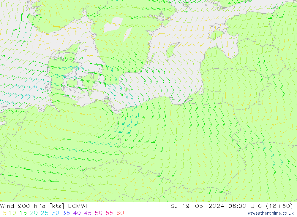 Rüzgar 900 hPa ECMWF Paz 19.05.2024 06 UTC