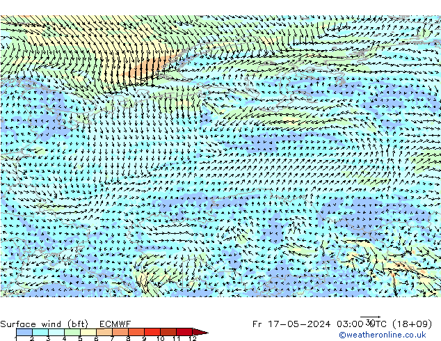 Wind 10 m (bft) ECMWF vr 17.05.2024 03 UTC