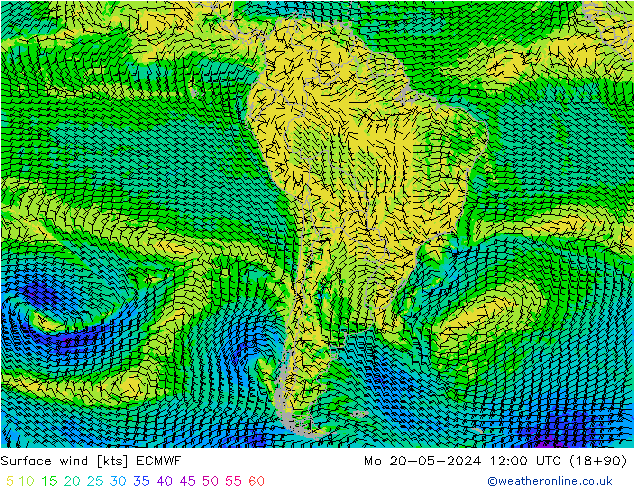Wind 10 m ECMWF ma 20.05.2024 12 UTC