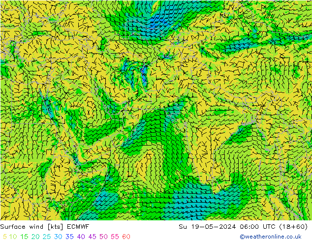 Wind 10 m ECMWF zo 19.05.2024 06 UTC