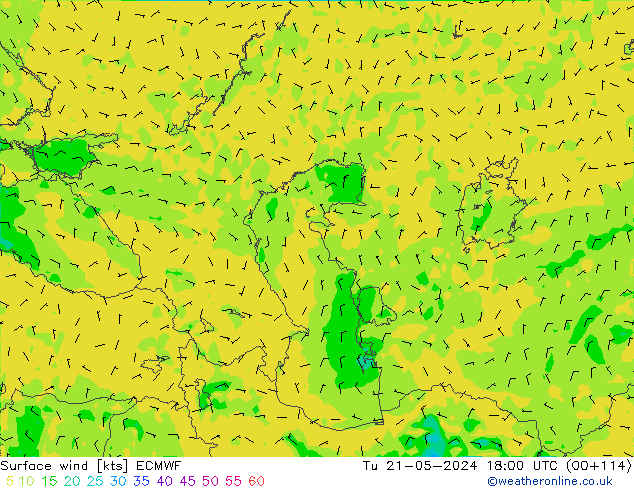 Surface wind ECMWF Tu 21.05.2024 18 UTC