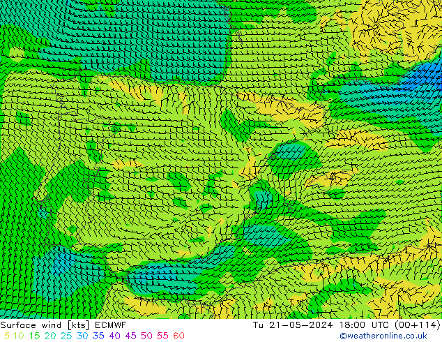 Surface wind ECMWF Út 21.05.2024 18 UTC
