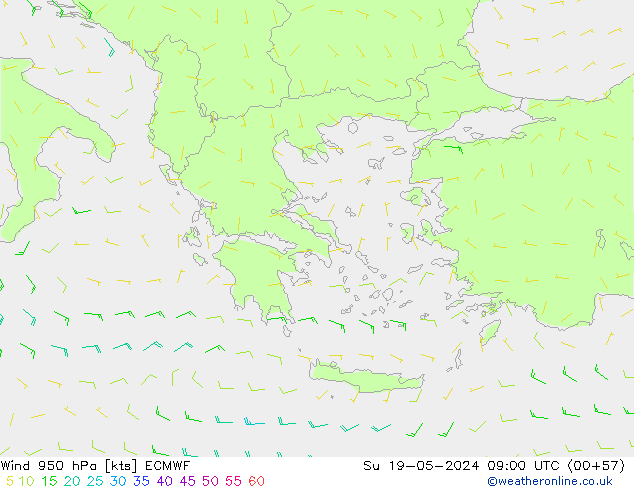 Wind 950 hPa ECMWF Su 19.05.2024 09 UTC