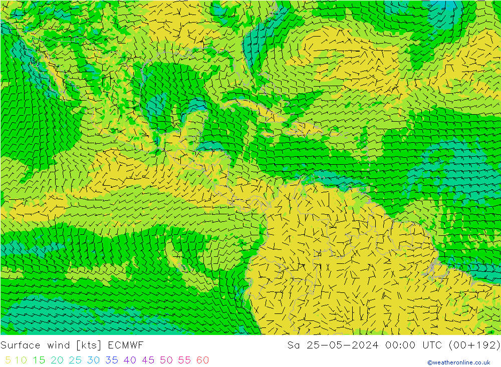 wiatr 10 m ECMWF so. 25.05.2024 00 UTC