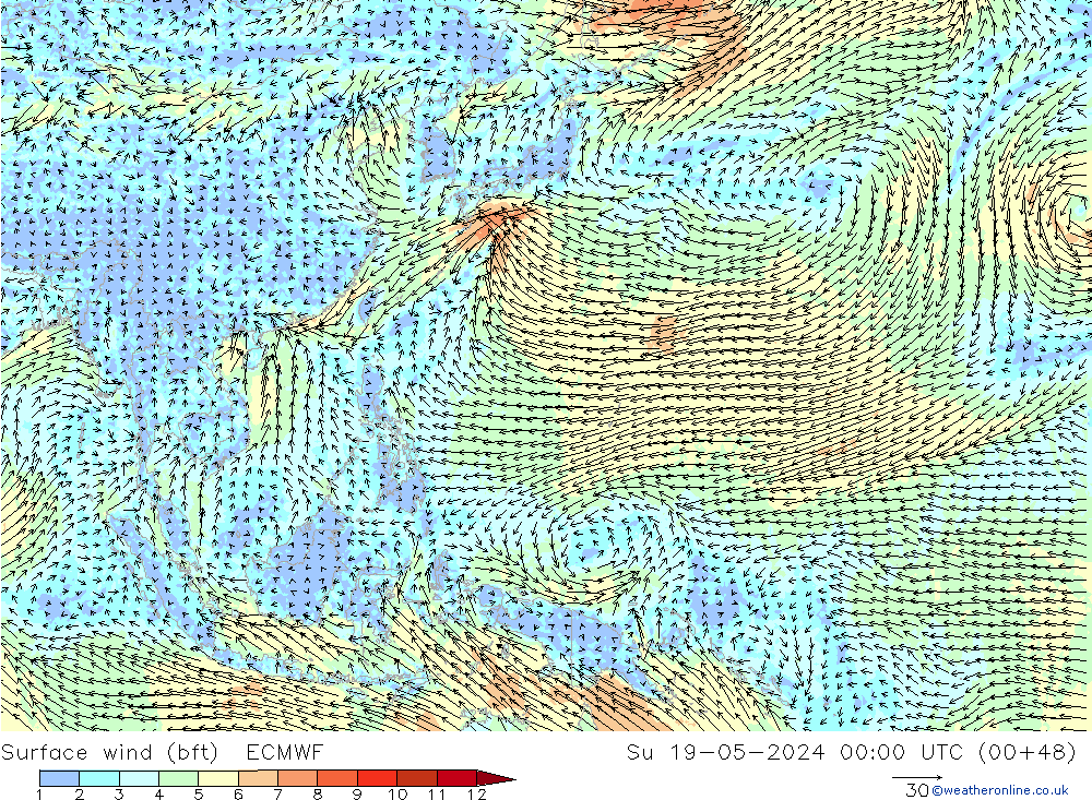 Surface wind (bft) ECMWF Su 19.05.2024 00 UTC
