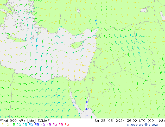 Wind 900 hPa ECMWF Sa 25.05.2024 06 UTC