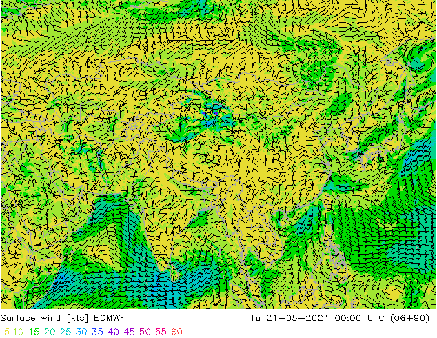 Wind 10 m ECMWF di 21.05.2024 00 UTC