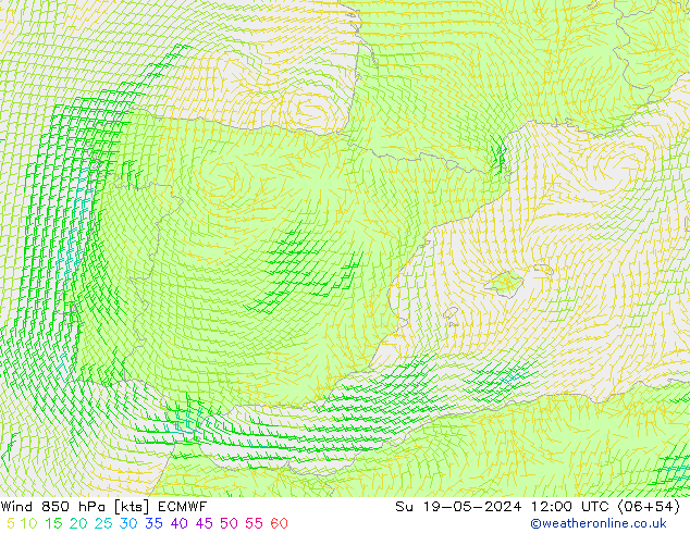  850 hPa ECMWF  19.05.2024 12 UTC
