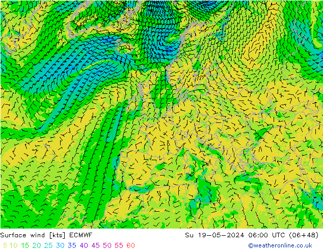  10 m ECMWF  19.05.2024 06 UTC