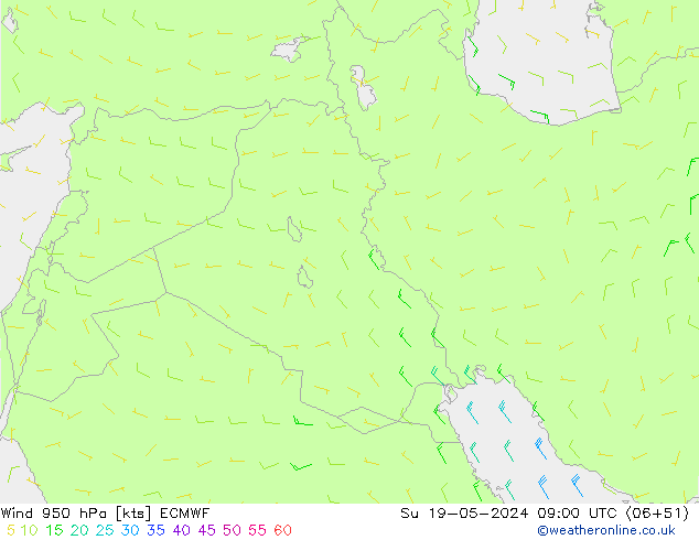 Wind 950 hPa ECMWF Su 19.05.2024 09 UTC