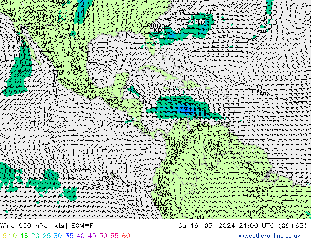 Wind 950 hPa ECMWF Su 19.05.2024 21 UTC