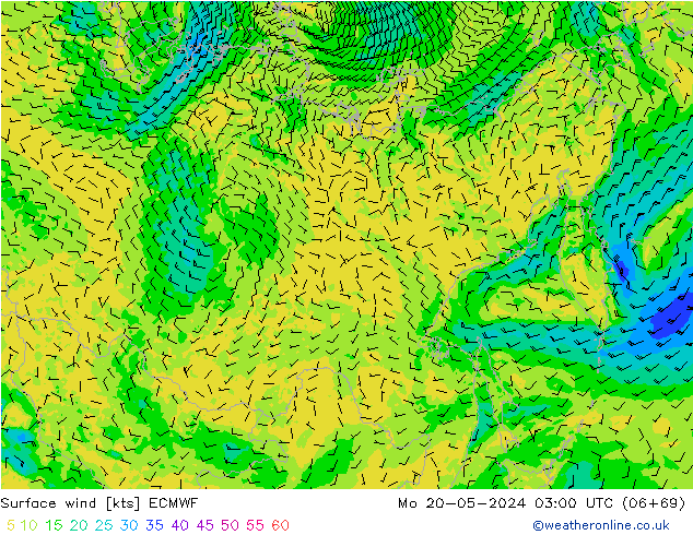 Surface wind ECMWF Po 20.05.2024 03 UTC