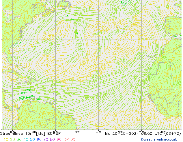  10m ECMWF  20.05.2024 06 UTC