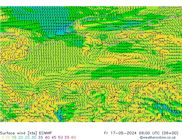 ветер 10 m ECMWF пт 17.05.2024 06 UTC