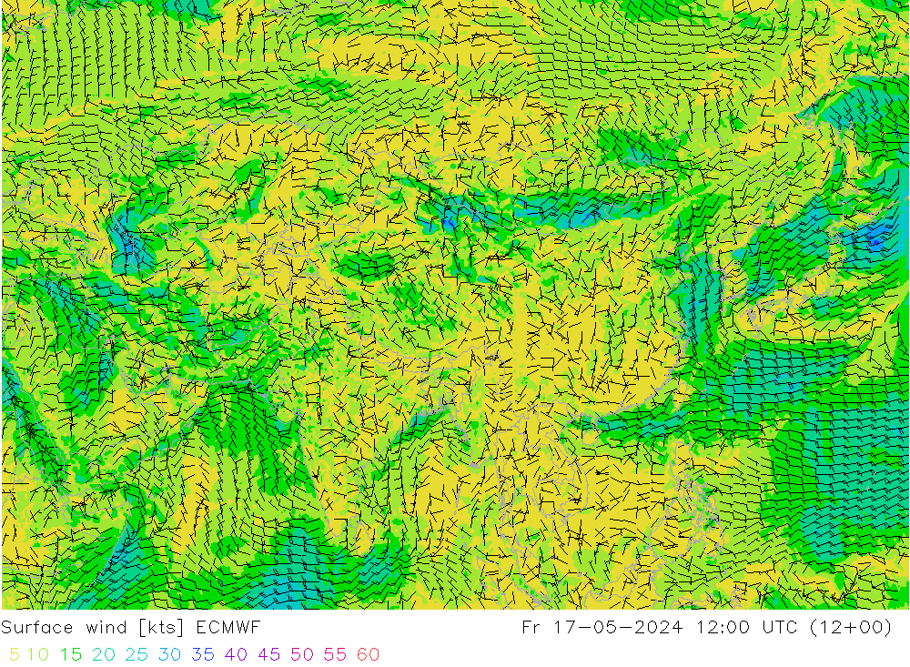 ветер 10 m ECMWF пт 17.05.2024 12 UTC