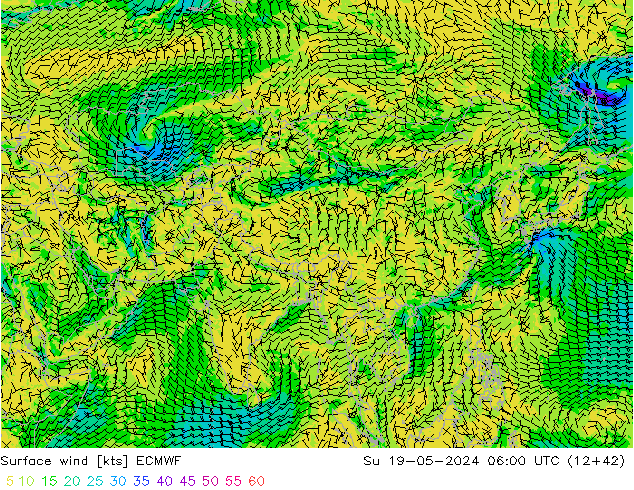 Prec 6h/Wind 10m/950 ECMWF  19.05.2024 06 UTC
