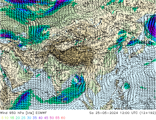 Wind 950 hPa ECMWF Sa 25.05.2024 12 UTC