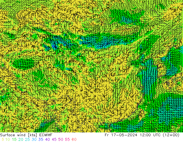 风 10 米 ECMWF 星期五 17.05.2024 12 UTC
